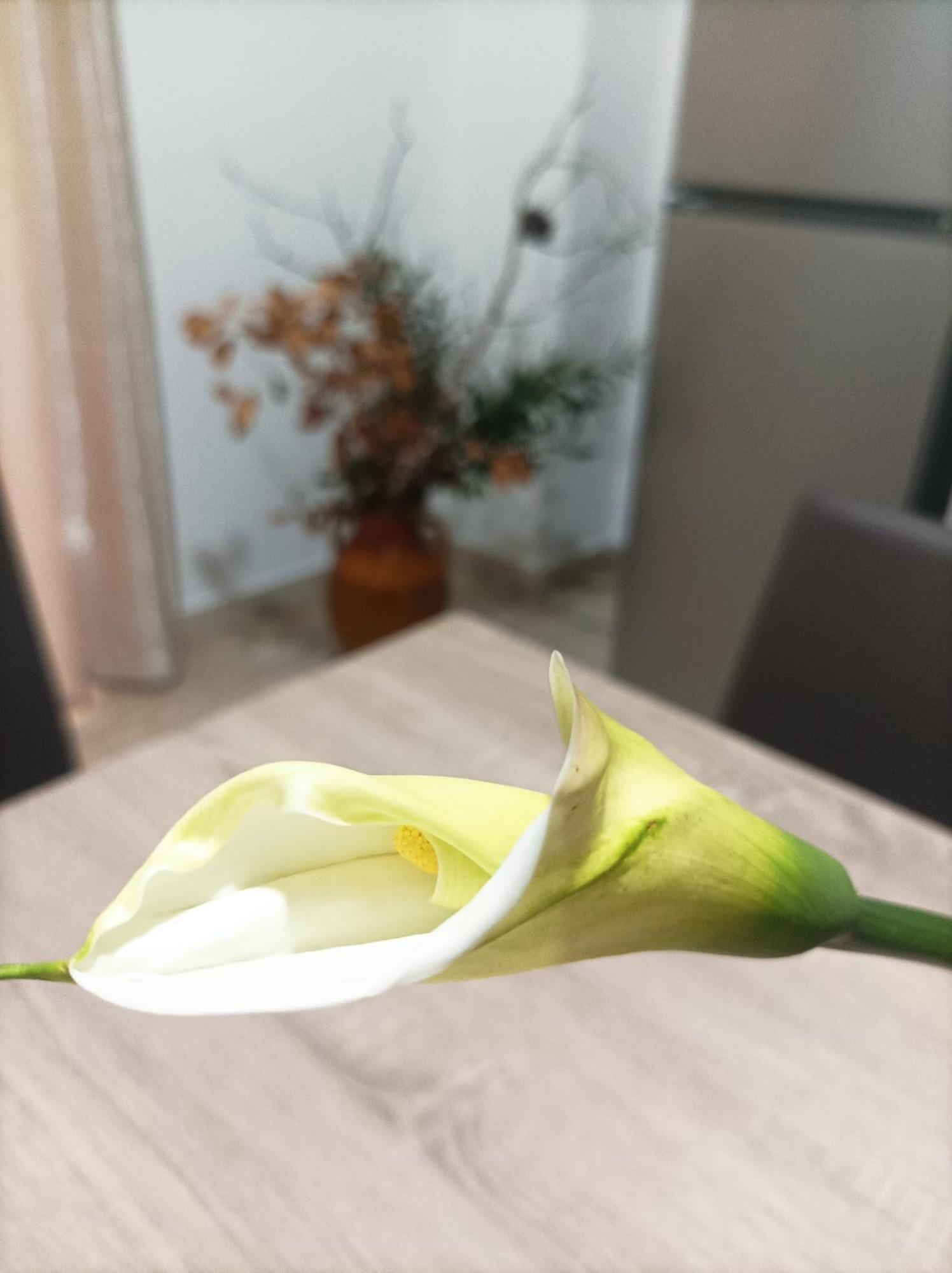 Apartament L'Ulivo Massafra Zewnętrze zdjęcie